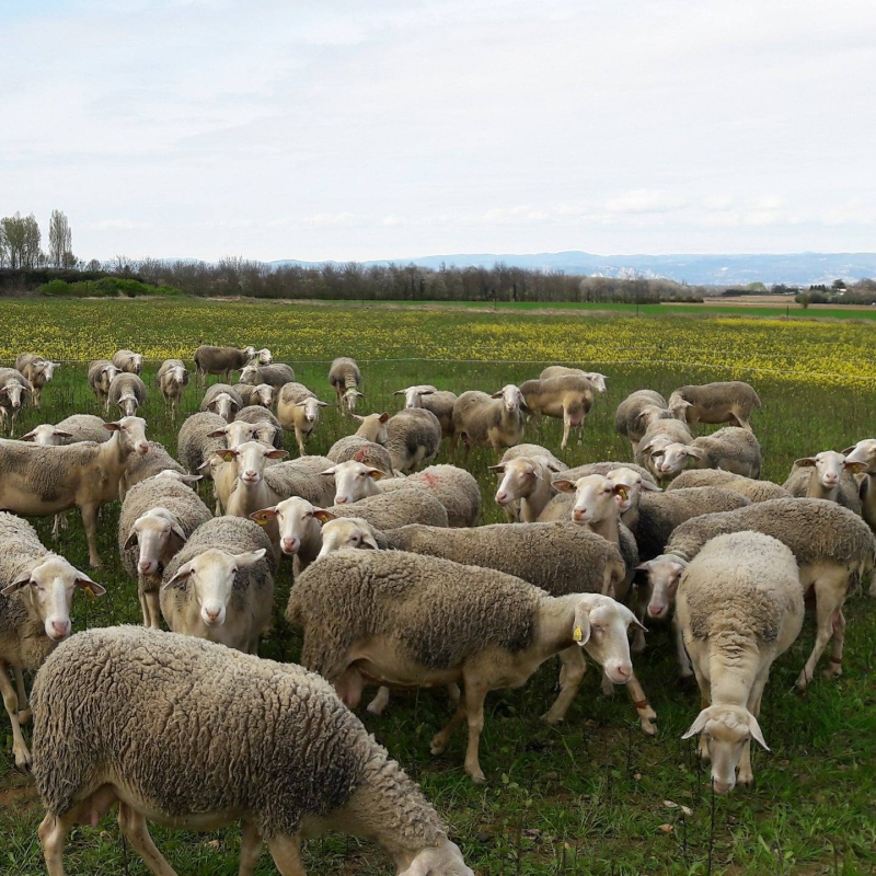 La Ferme des Routes