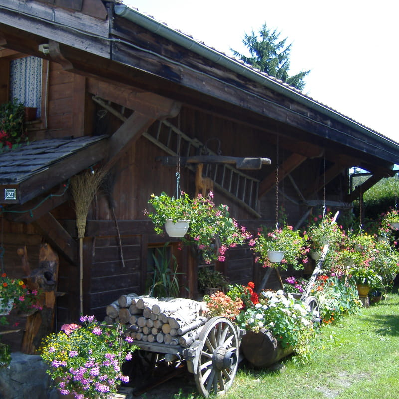 Chalet