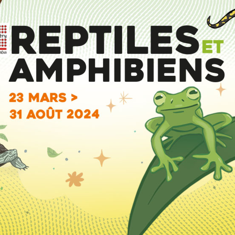 Exposition : Reptiles et amphibiens
