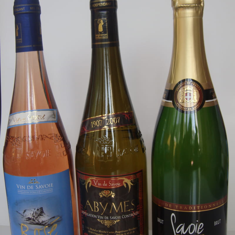Vins