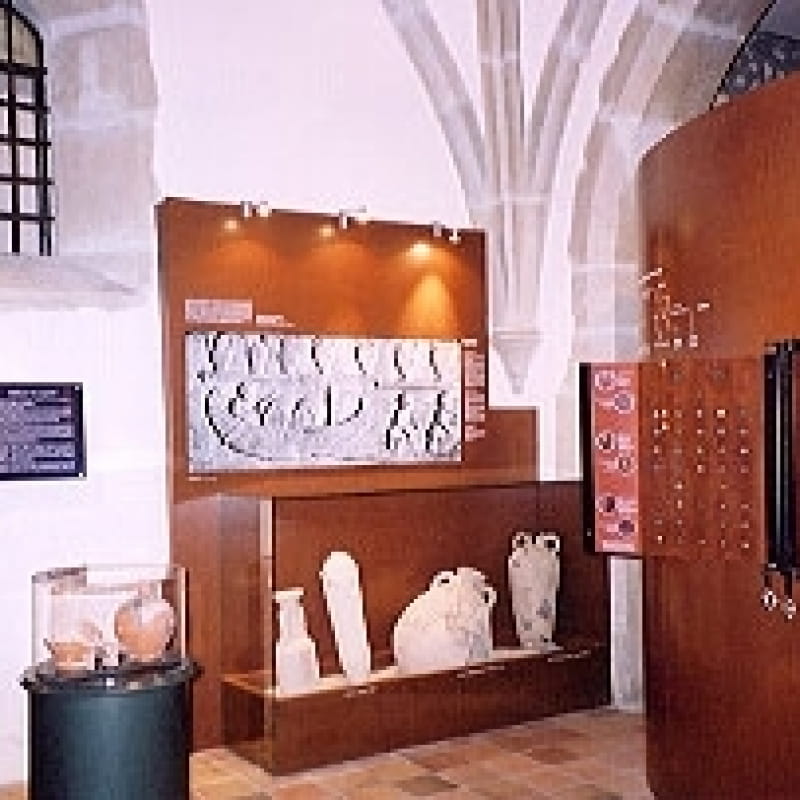 musée gallo-romain
