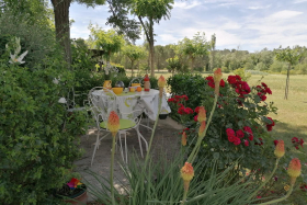 Jardin fleuri avec espace détente et repas 