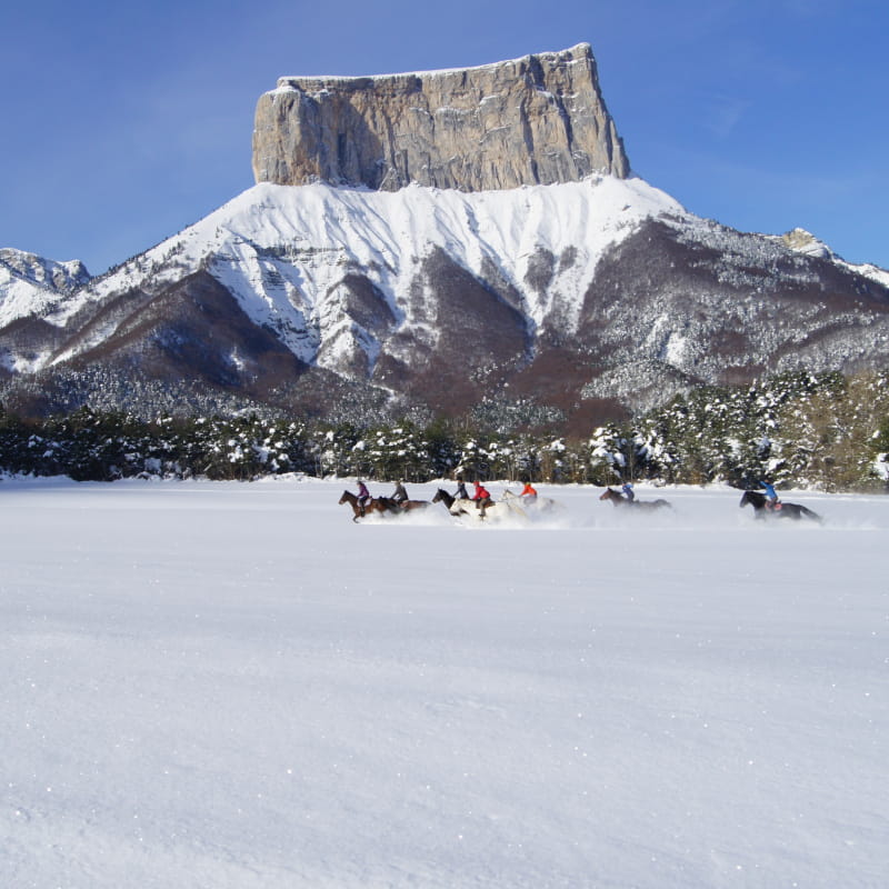 Randonnée à cheval dans la neige à la ferme équestre des quatre chemins