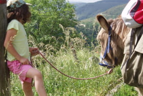 Balade avec un âne à la demi-journée entre Cévennes et montagne ardéchoise