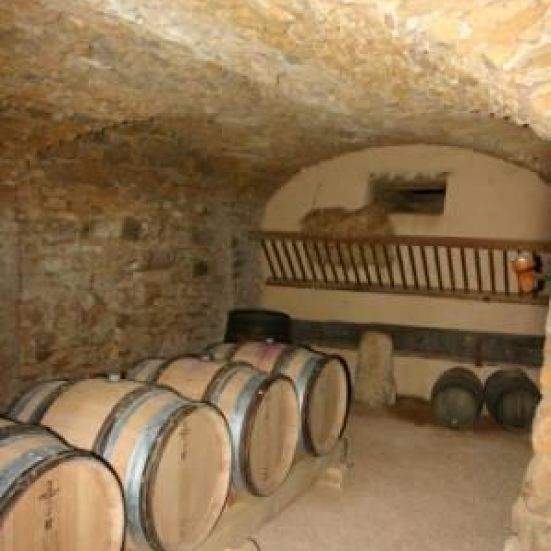 Tour of the wine cellar's 
