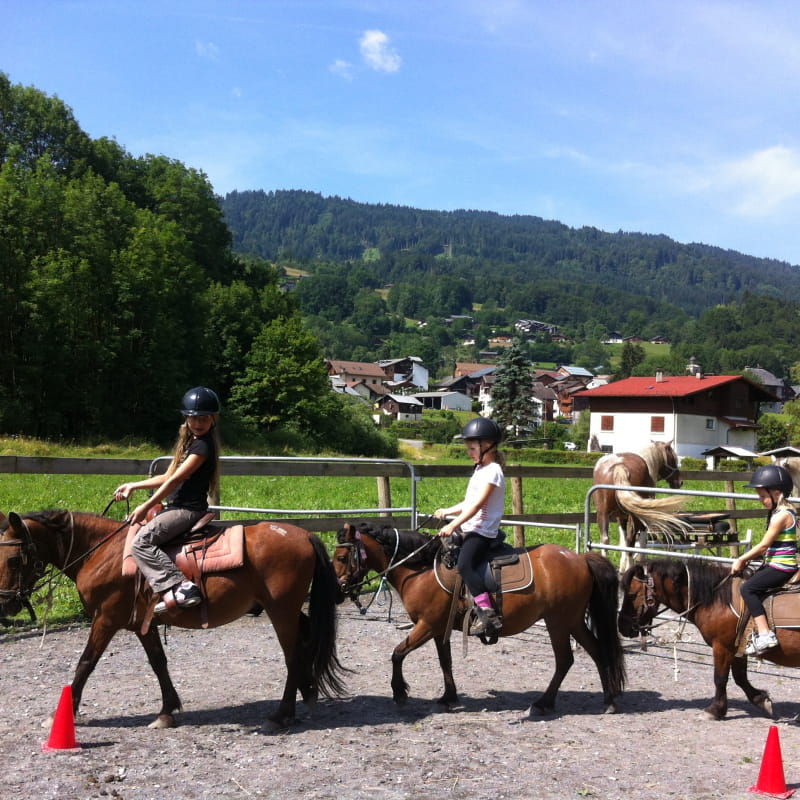Stage de poney